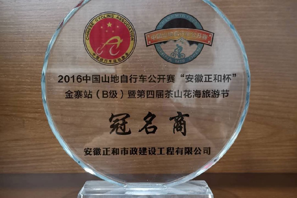 2016�й�ɽ�����г�������������